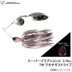 スーパーイラプションJr. 1/2oz TW ワカサギ
