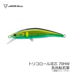 ティモン　トリコロール流芯 70HW 長良鮎若葉