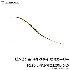 ジャッカル　ビンビン玉T+ネクタイ セミカーリー F120 シマシマエビオレンジ