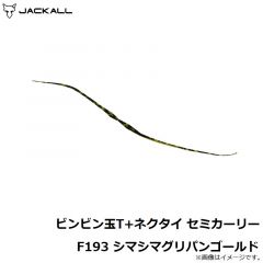 ジャッカル　ビンビン玉T+ネクタイ セミカーリー F193 シマシマグリパンゴールド