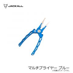 ジャッカル  ビッグバッカースピン 20g アカキン/マグマウェーブホロ