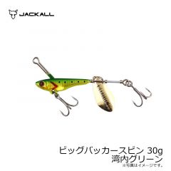 ジャッカル  ビッグバッカースピン 20g アカキン/マグマウェーブホロ