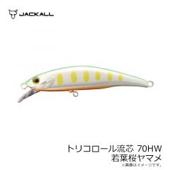 ティモン　トリコロール流芯 70HW 長良鮎若葉