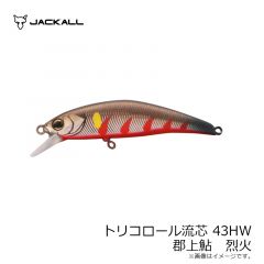 ティモン　トリコロール流芯 43HW 郡上鮎　烈火