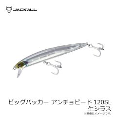ジャッカル　ビッグバッカー アンチョピード120SL ブルピン