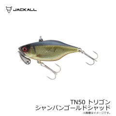 ビッグバッカー107 鰤カスタム 超サゴシスパーク