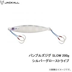 バンブルズジグ SLOW 150g チャートバックストライプ
