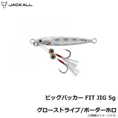 ジャッカル　ビッグバッカー FIT JIG 5g グローストライプ/ボーダーホロ