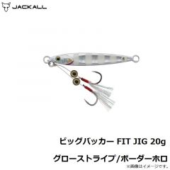ジャッカル　ビッグバッカー FIT JIG 10g シラスシルバー/マグマウェーブホロ