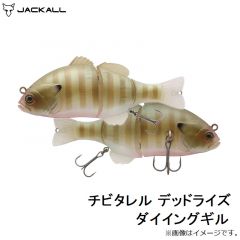 ジャッカル　チビタレル デッドライズ ダイイングギル