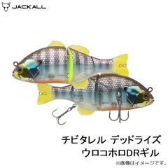 ジャッカル　チビタレル デッドライズ ウロコホロDRギル