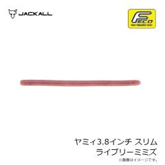 ジャッカル　ヤミィ3.8インチ スリム ライブリーミミズ