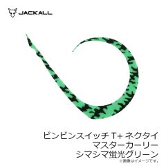 ジャッカル　ビンビンスイッチT+ネクタイ マスターカーリー ブライトオレンジゼブラ