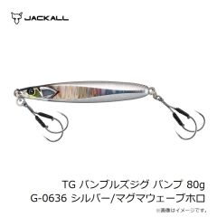 ジャッカル　ラスパティーン TG　20g　カタクチイワシ/ボーダーホロ