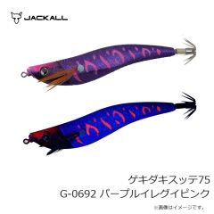 山波商店　MYT04 ランディングネット グレイス