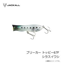 ジャッカル　ブリーカー トッピー67F MCコーチドッグ