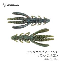 ジャッカル　アンチョビメタル タイプ1 200g グリキン/マグマウェーブホロ