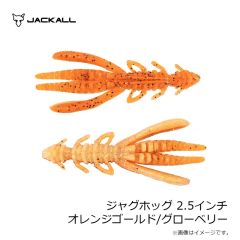 ジャッカル　アンチョビメタル タイプ1 200g グリキン/マグマウェーブホロ