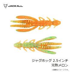 ジャッカル　アンチョビメタル タイプ1 200g グリキン/マグマウェーブホロ