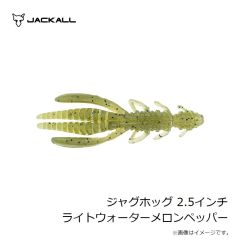 ジャッカル　アンチョビメタル タイプ1 200g グリキン/マグマウェーブホロ