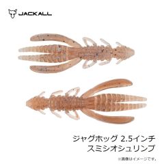 ジャッカル　アンチョビメタル タイプ1 200g グリキン/マグマウェーブホロ