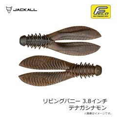 ジャッカル　リビングバニー 3.8インチ テナガシナモン