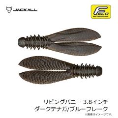 ジャッカル　リビングバニー 3.8インチ ダークテナガ/ブルーフレーク