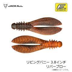 ジャッカル　リビングバニー 3.8インチ リバーブロー
