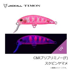 ティモン　C&RトリコロールGT 56MD-F カワゲラブラウン