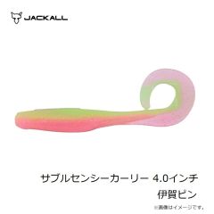 ジャッカル　サブルセンシーカーリー 4.0インチ 伊賀ピン