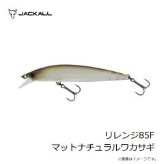 ジャッカル　鉛式 ビンビン玉スライド 120g ビターオレンジ/シマオレT+(谷山オリカラ)