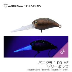 ティモン　パニクラ´ SR タッキーブラウン