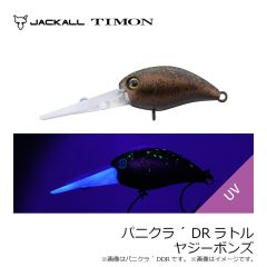 ティモン　パニクラ´ SR タッキーブラウン