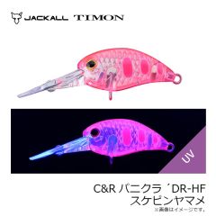 ティモン　C&Rパニクラ´DR-HF スケピンヤマメ
