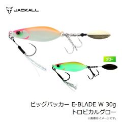 ジャッカル　アンチョビメタル タイプ2 160g 有明シルエットマットブラック