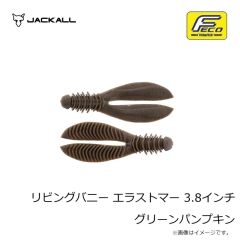 ジャッカル　スイセン ハナムグリ