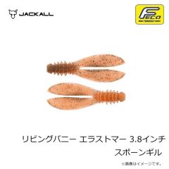 ジャッカル　スイセン ハナムグリ