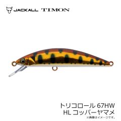 ティモン　トリコロール67HW HLコッパーヤマメ