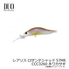 デュオ　レアリス ロザンテシャッド57MR　CCC3260 本ワカサギ