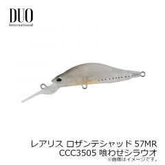 デュオ　レアリス ロザンテシャッド57MR　AOA3503 子持ちギル