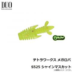 デュオ　テトラワークス メガロパ S525 シャインマスカット