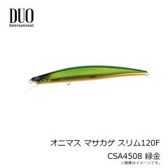 デュオ　オニマス マサカゲ スリム120F CSA4508 緑金