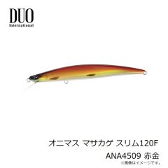 デュオ　オニマス マサカゲ スリム120F CPA4505 和加佐幾