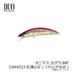 デュオ　オニマス カグラ88F CAA4523 紅蓮山女 (ぐれんやまめ)