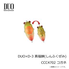 デュオ　DUO×D-3 真福蝉(しんふくぜみ) CCC4702 コガネ