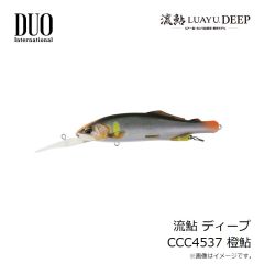 デュオ　流鮎 ディープ CCC4537 橙鮎