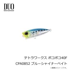 トップウォーター _ プラグ _ ルアー _ ソルトルアー