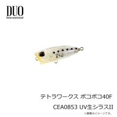 デュオ　タイドミノースプラット100SF CPA0608 ゴールドレインボー