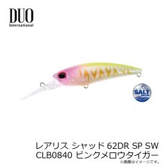ダイワ　ソルティポップ 80F シルバーウルフカスタム ライムチャートクリア