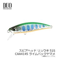 デュオ　スピアヘッド リュウキ50SP CAN4146 スケワカサギ